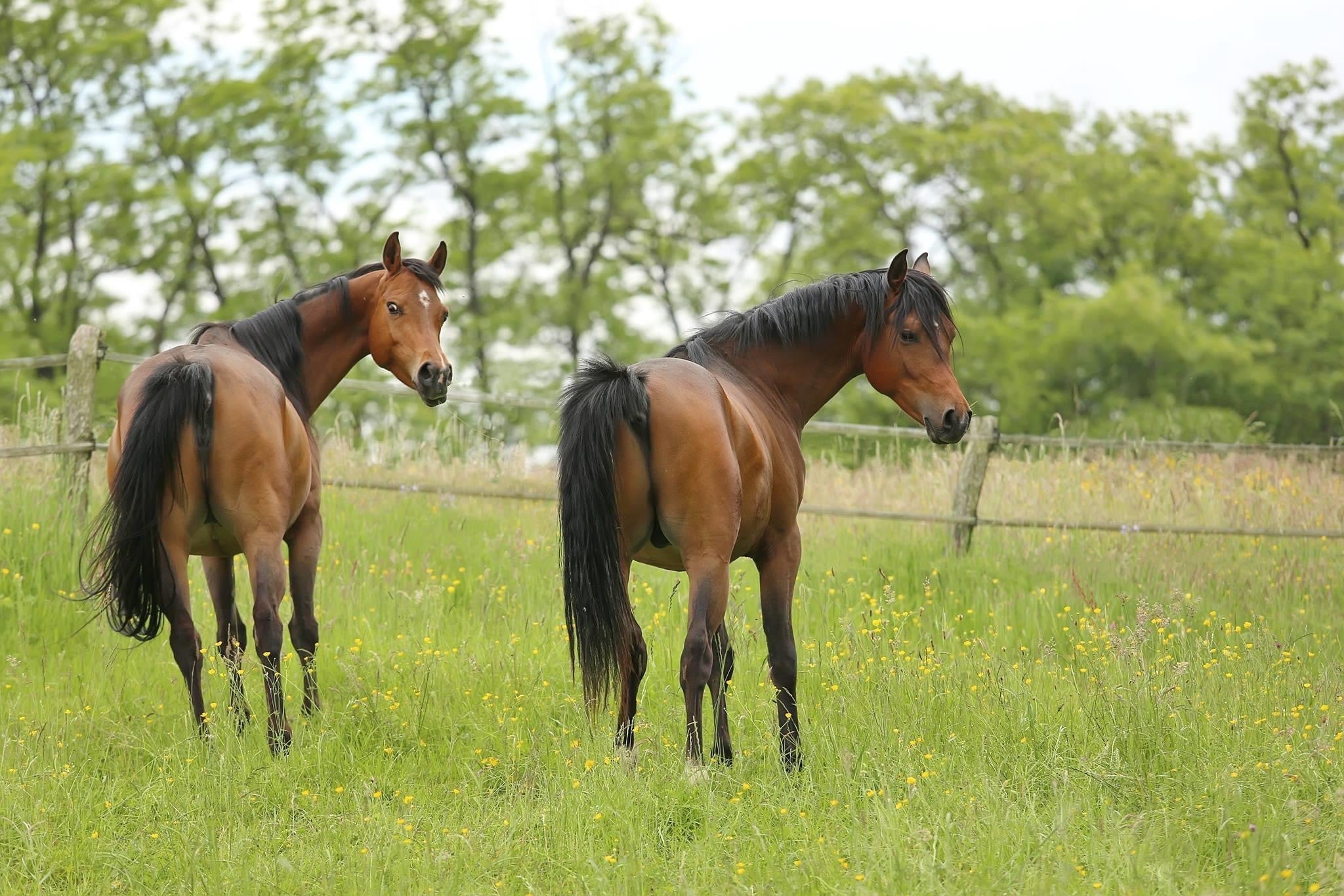 Wetterumschwung verbunden mit Herz-Kreislaufproblemen