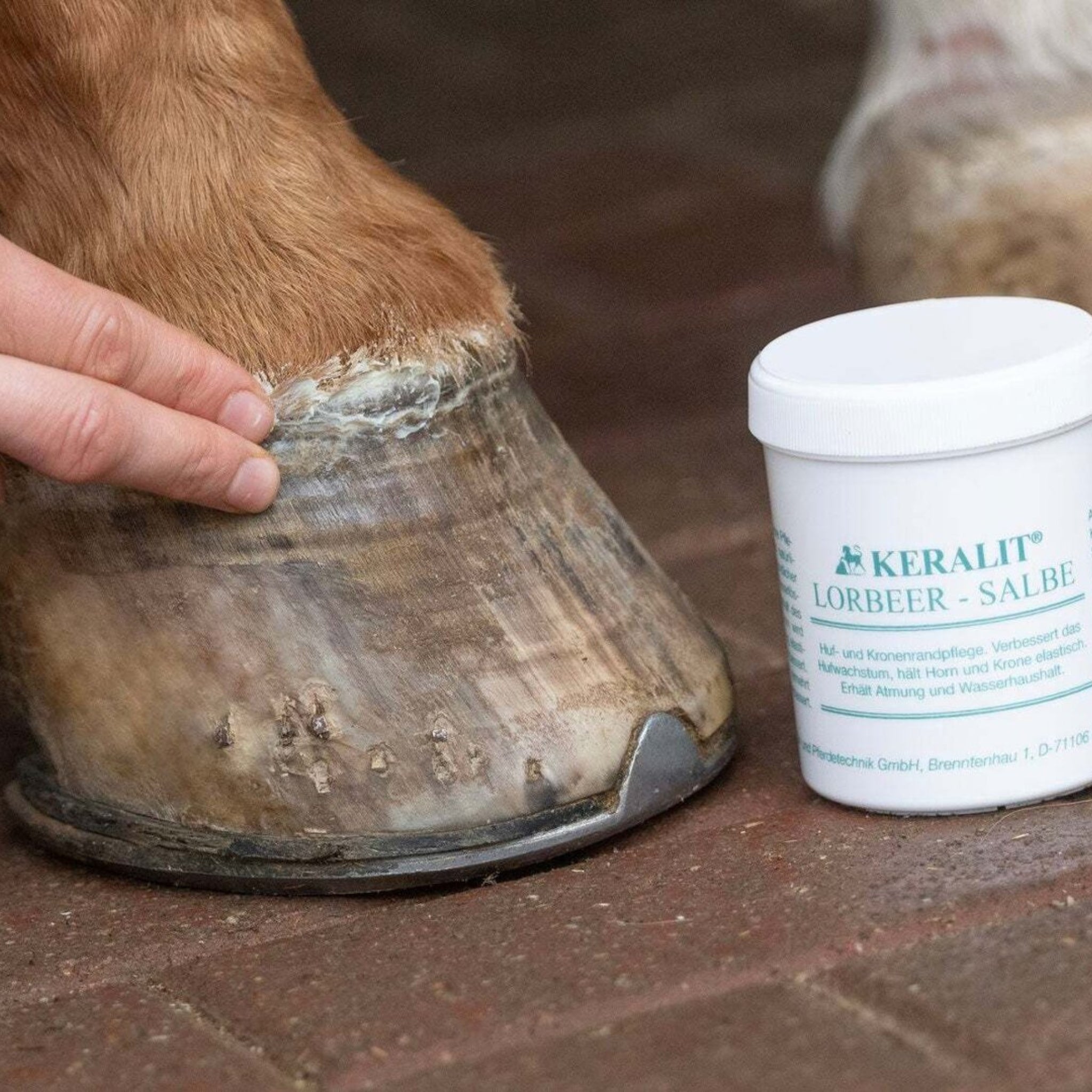 alphamed® Human- und Veterinärmedizintechnik GmbH